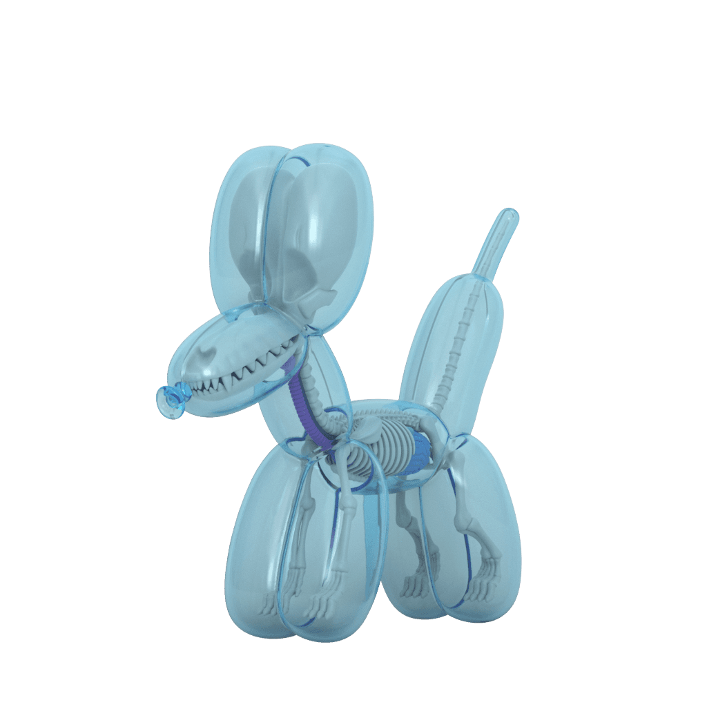 funny anatomy balloon dog sky blue edition