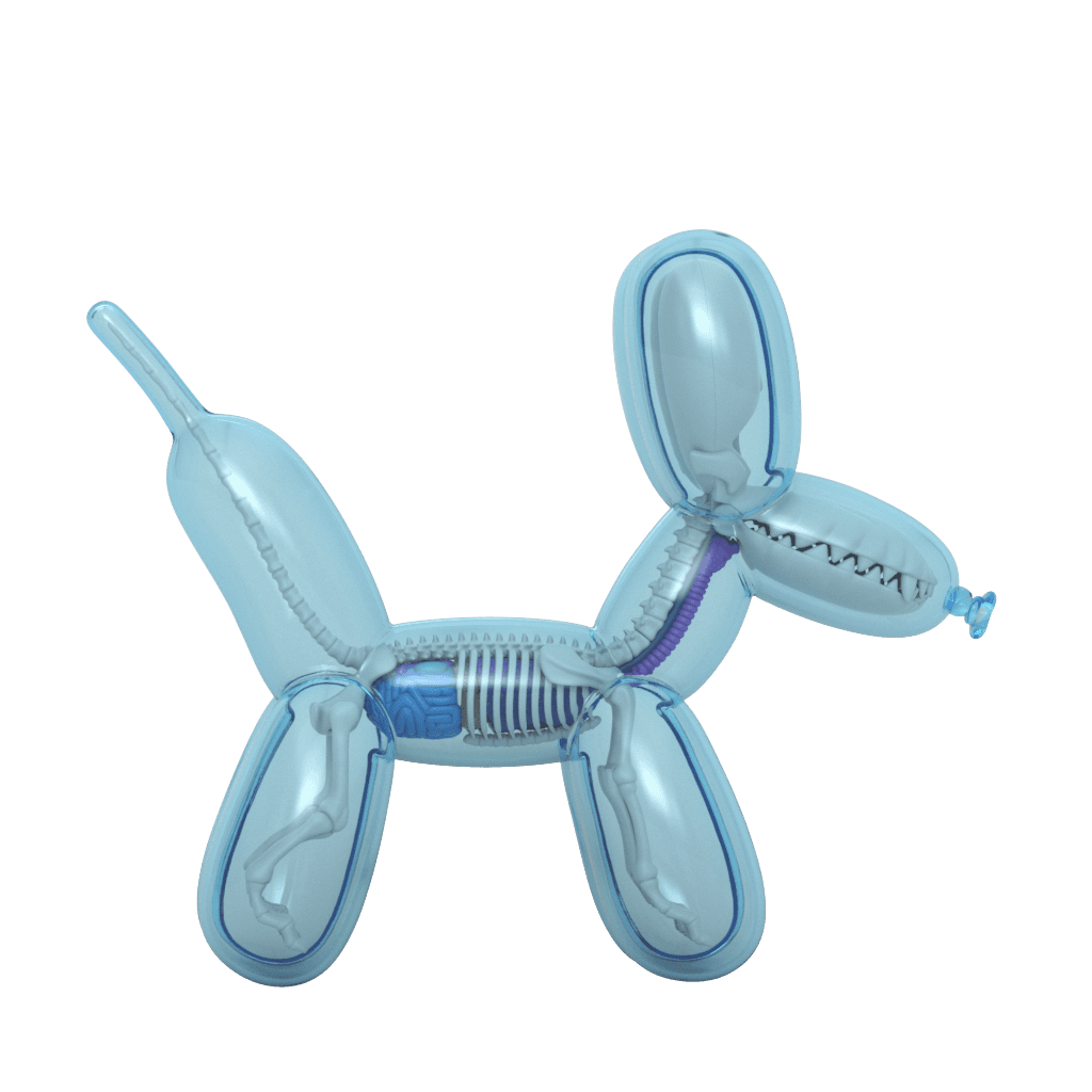 funny-anatomy-balloon-dog-sky-blue-edition