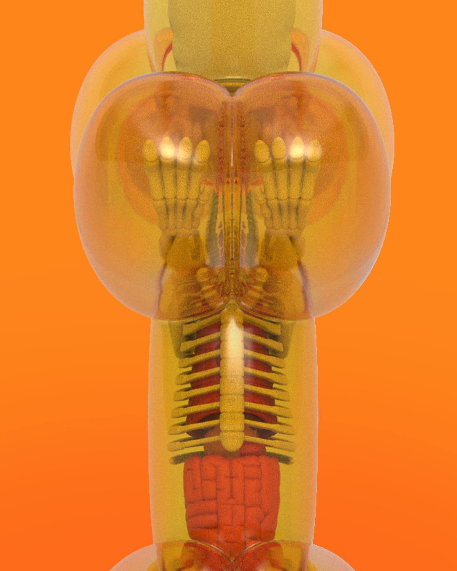 Funny Anatomy Balloon Dog (Honey Edition) Close Up