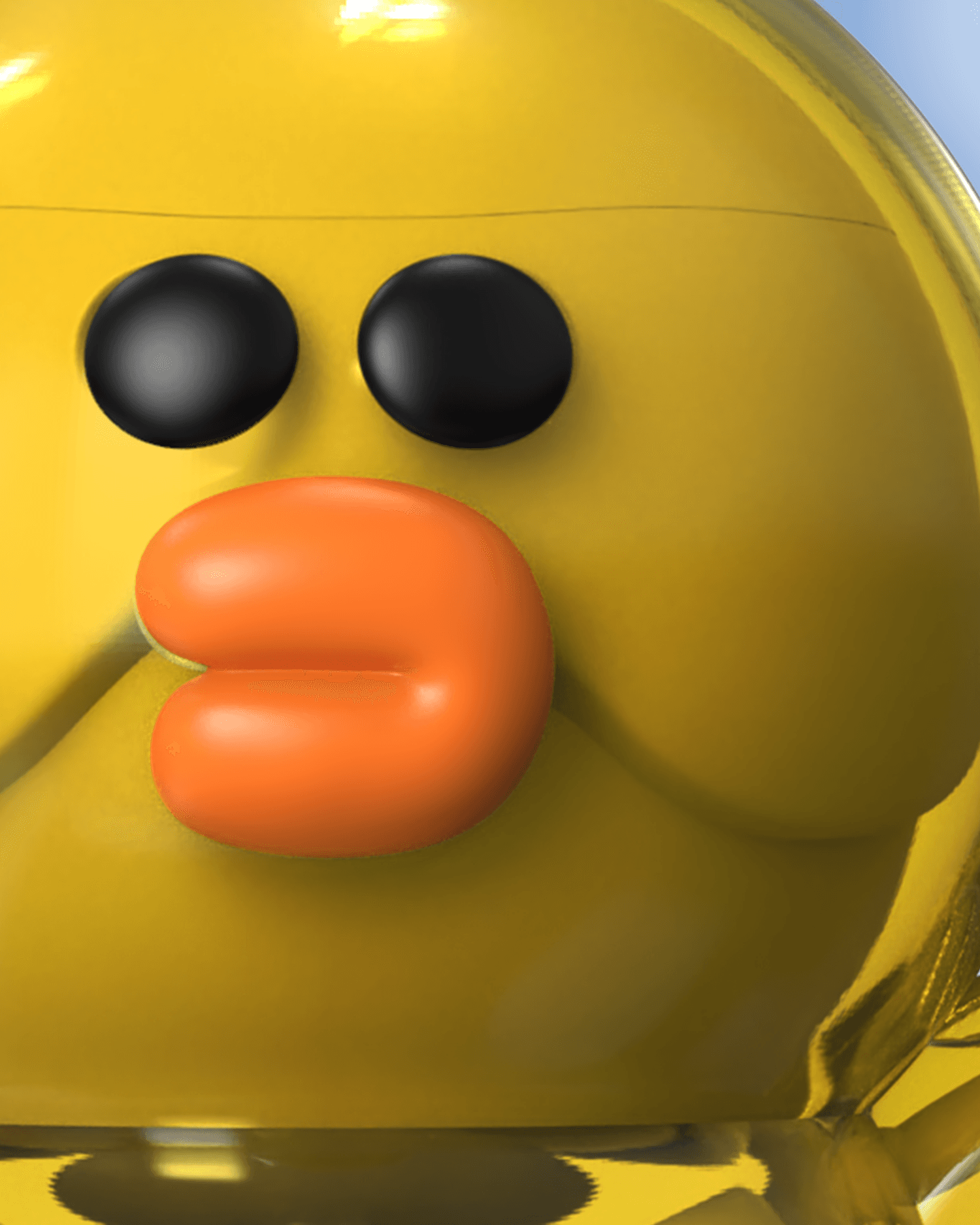 Funny Anatomy LINE Friends Sally Close Up