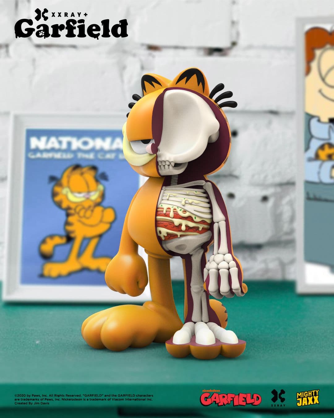 XXRAY Plus Garfield Close Up