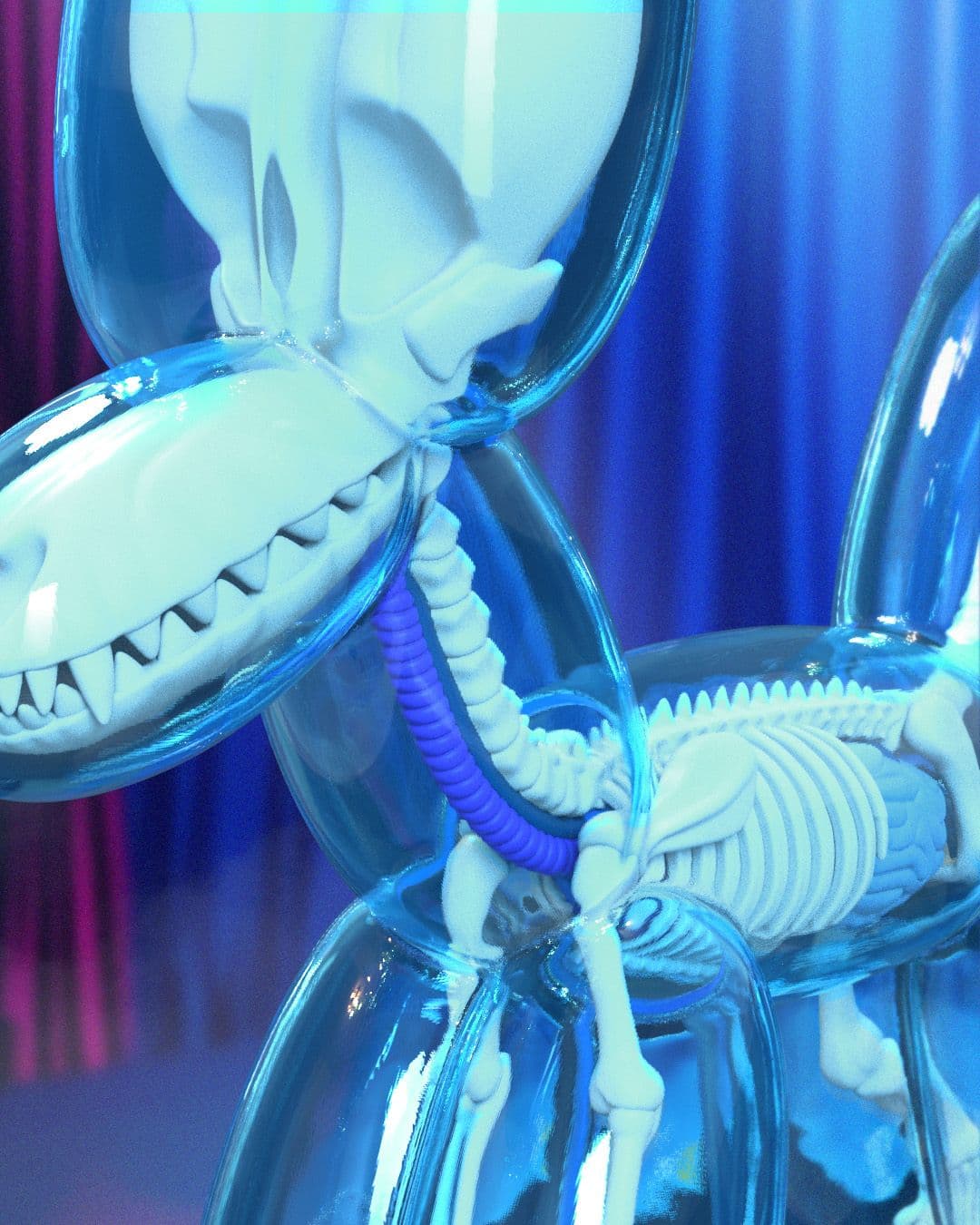 Funny Anatomy Balloon Dog (Sky Blue Edition) Close Up