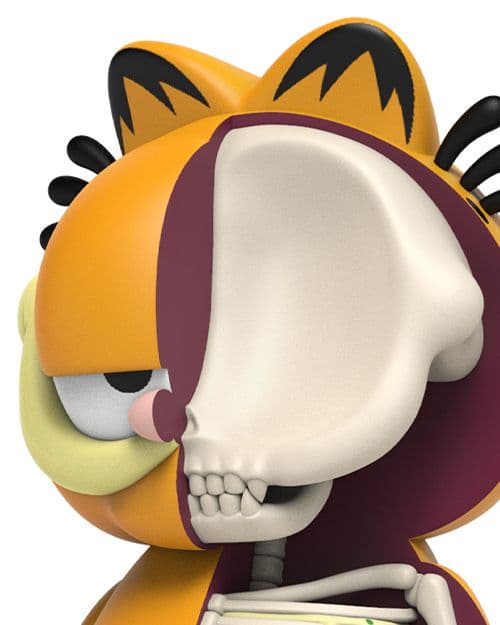 XXRAY Plus Garfield Close Up