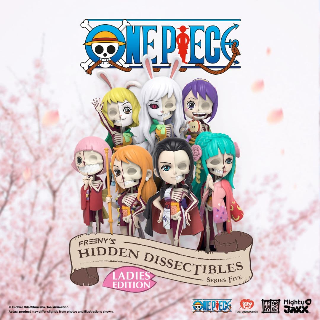 Freeny’s Hidden Dissectibles: One Piece (Ladies Edition) PRODUCT DETAILS