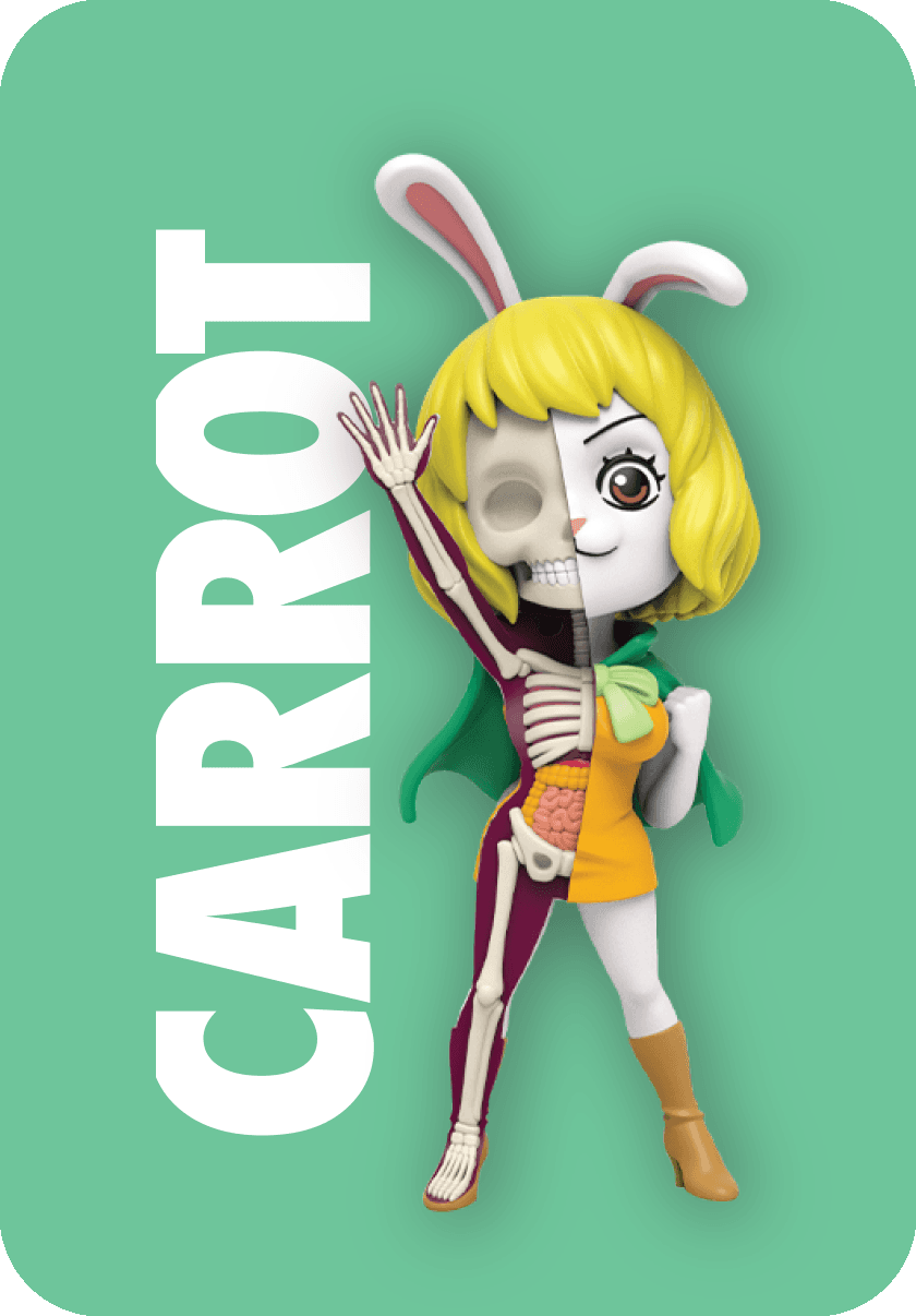 Freeny’s Hidden Dissectibles: One Piece (Ladies Edition) Character Lineup