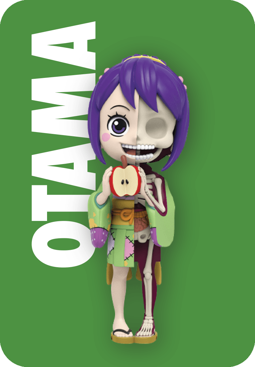 Freeny’s Hidden Dissectibles: One Piece (Ladies Edition) Character Lineup