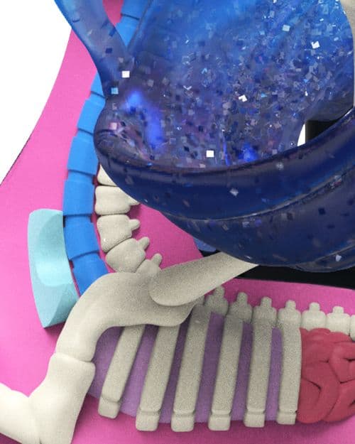 XXRAY Plus: Nightmare Moon Close Up