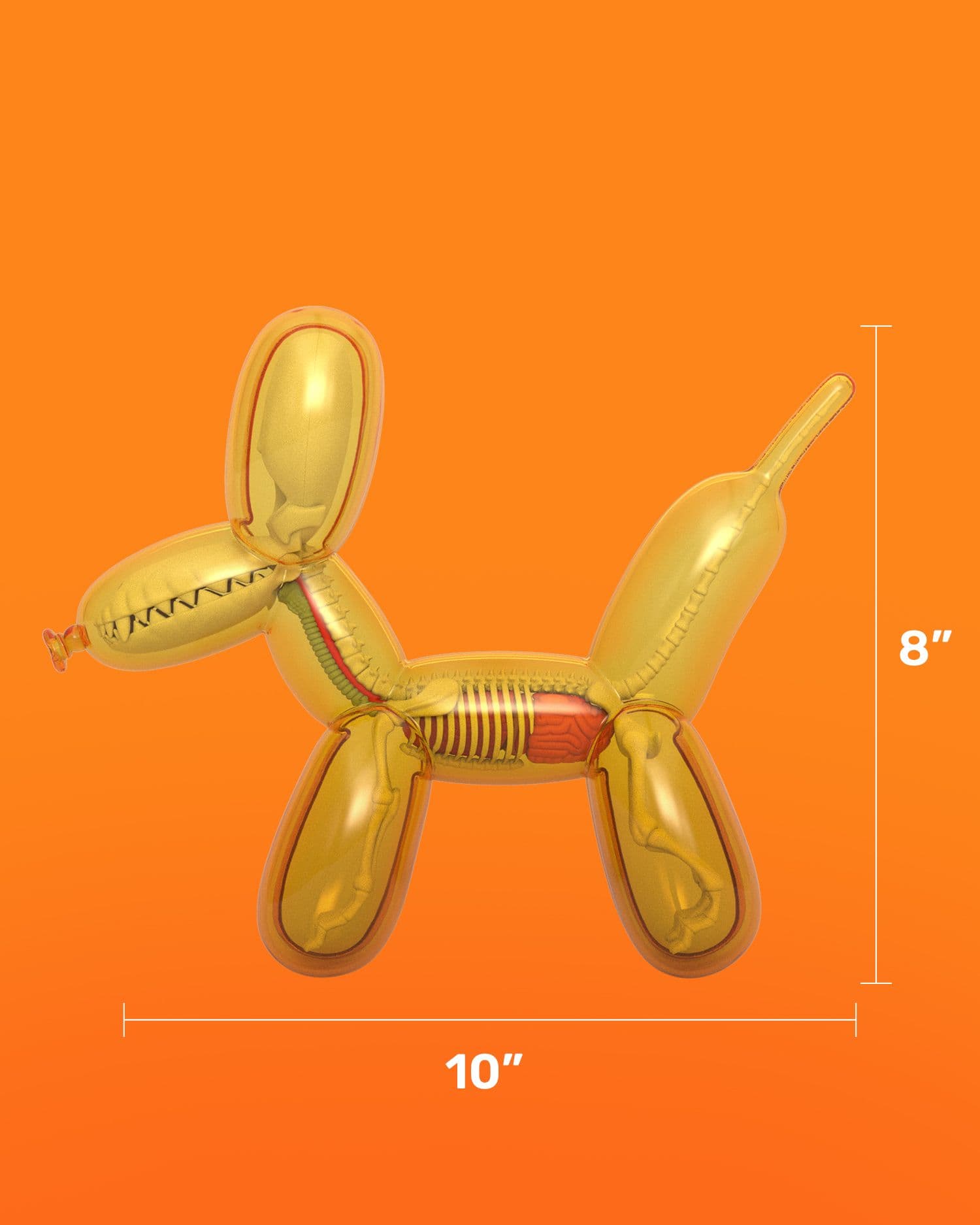 Funny Anatomy Balloon Dog (Honey Edition) Close Up