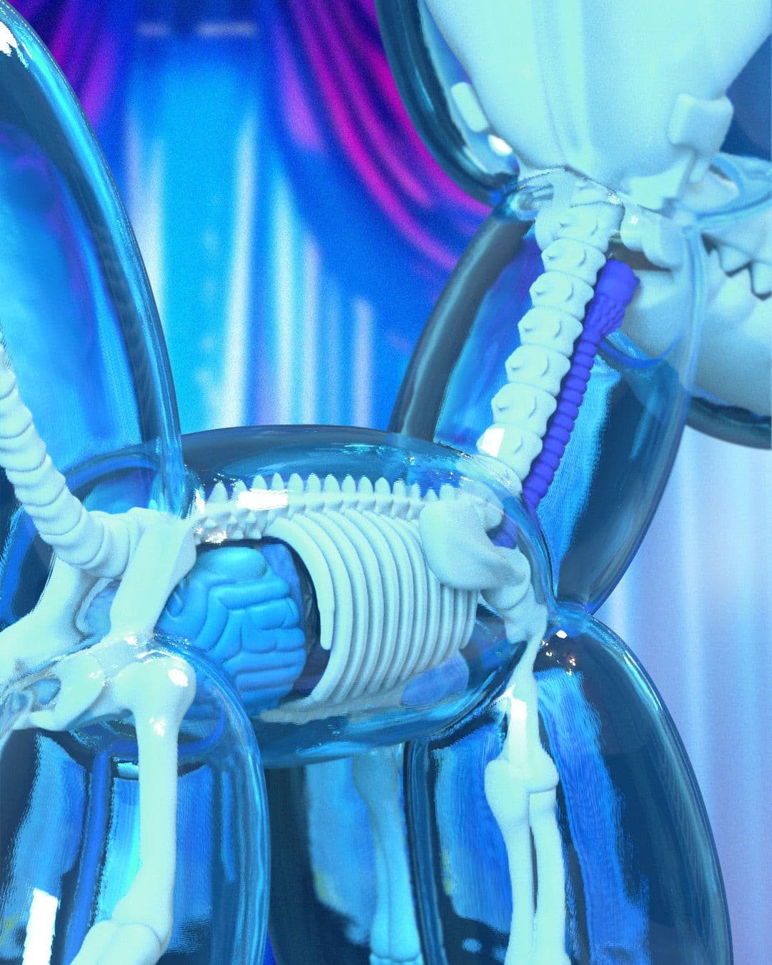 Funny Anatomy Balloon Dog (Sky Blue Edition) Close Up