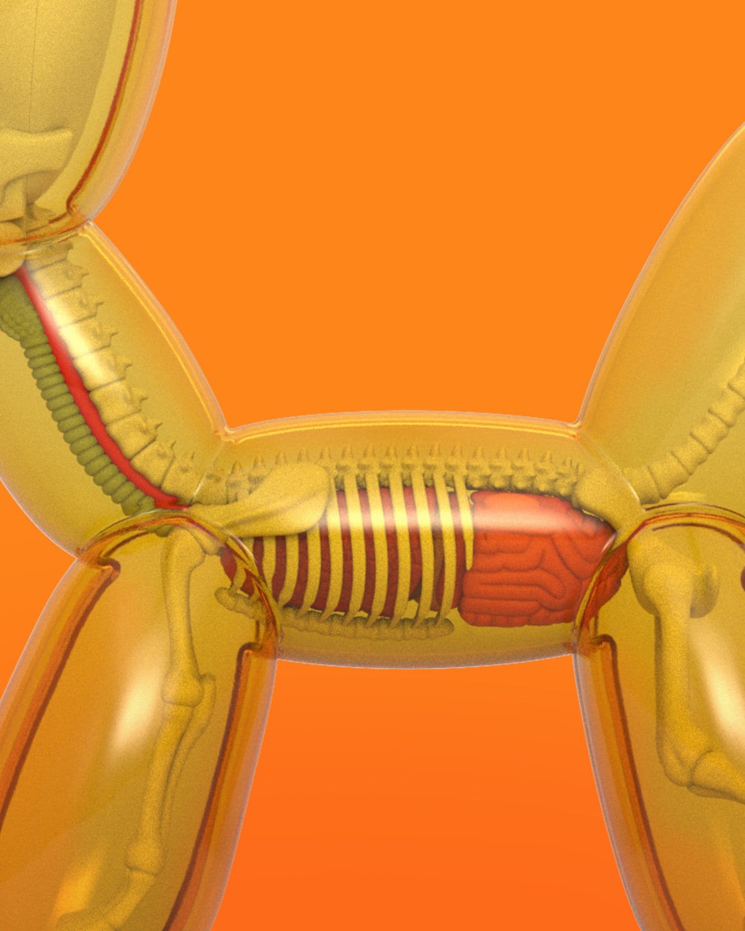 Funny Anatomy Balloon Dog (Honey Edition) Close Up