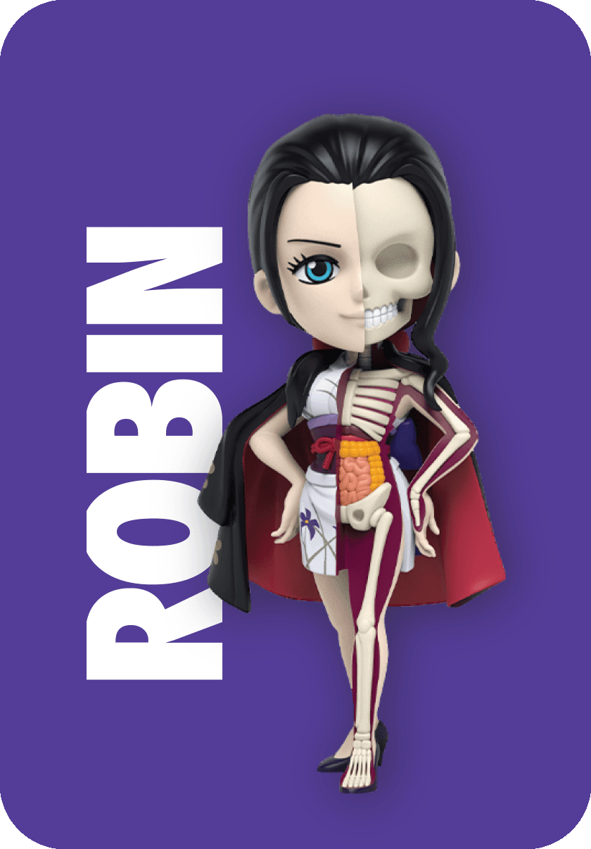 Freeny’s Hidden Dissectibles: One Piece (Ladies Edition) Character Lineup