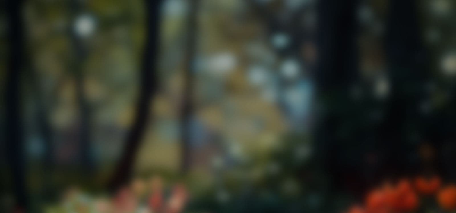 background-image